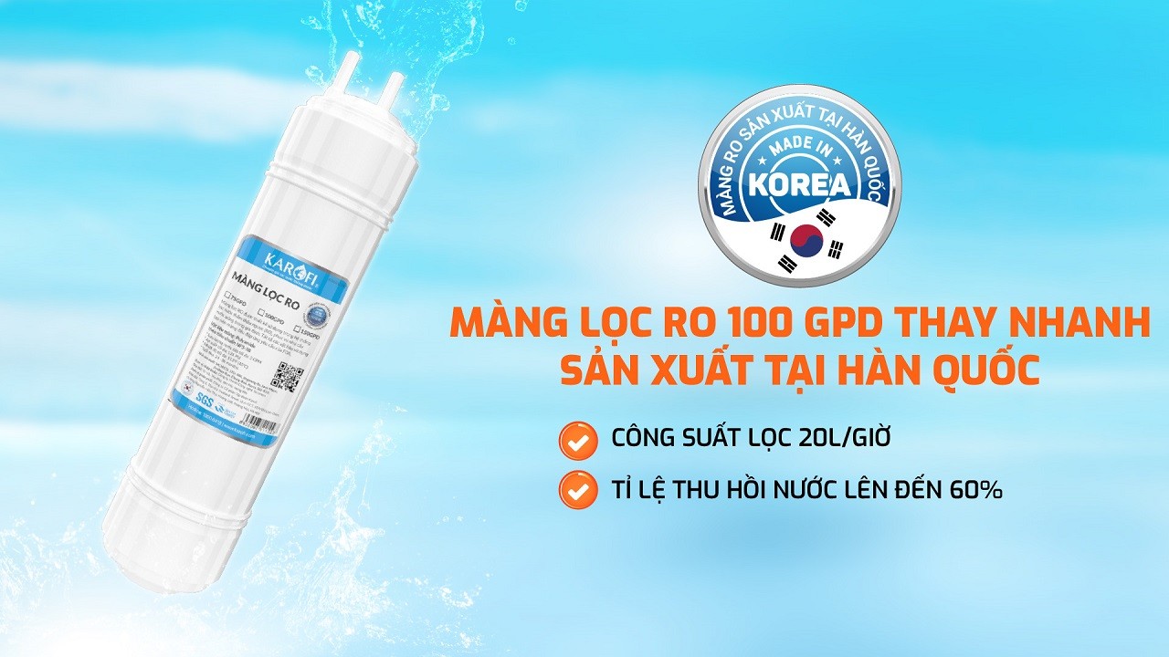 Máy lọc nước RO Karofi Livotec 216